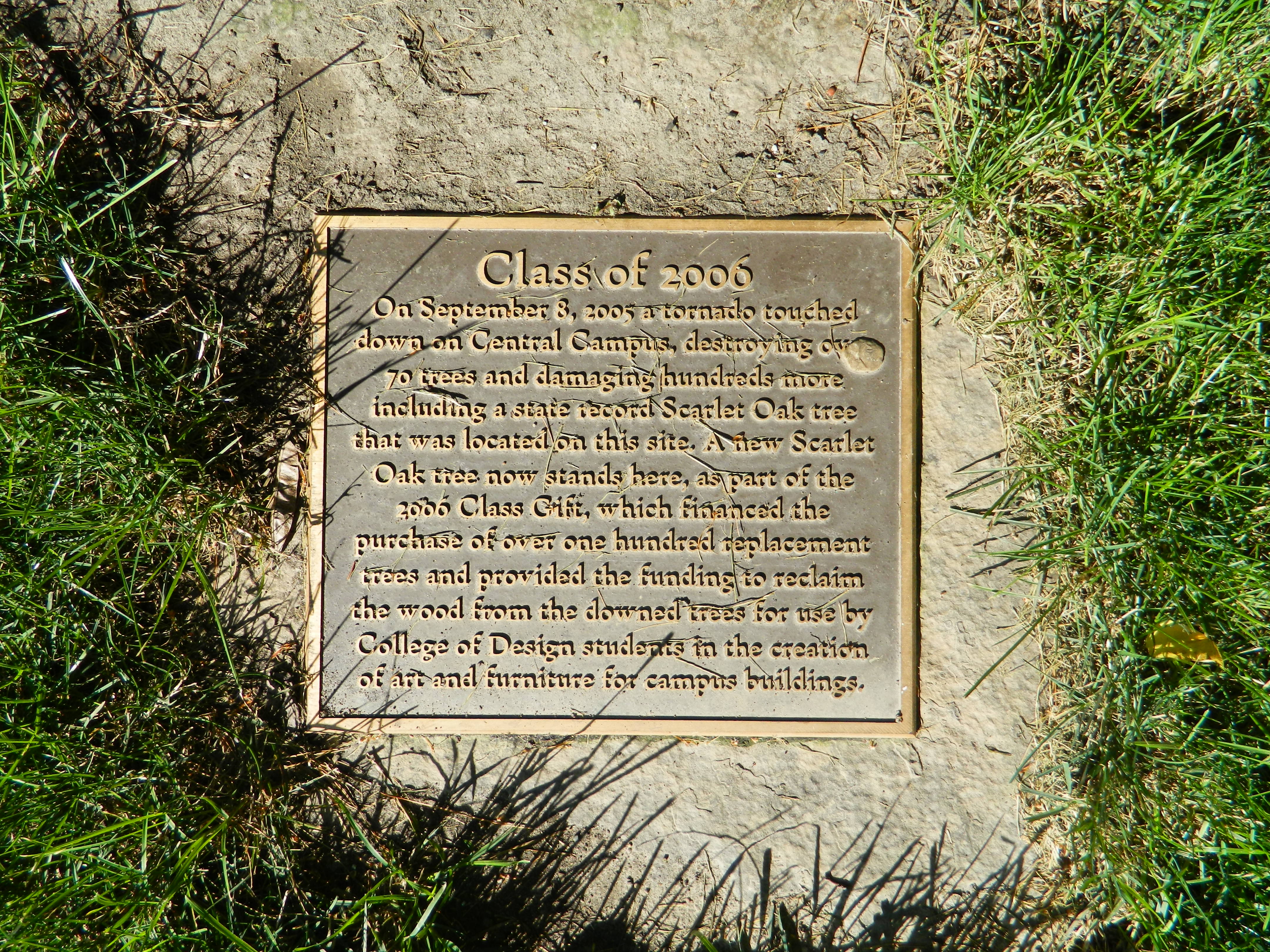 closeup photo